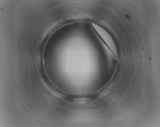 X0000076310448200610271943