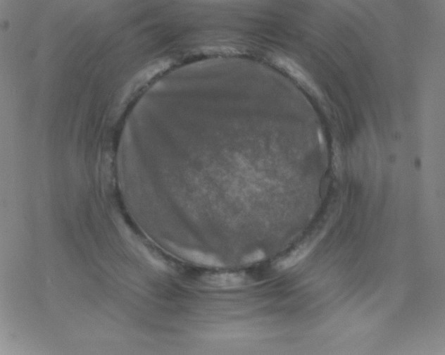 X0000076310449200610271943