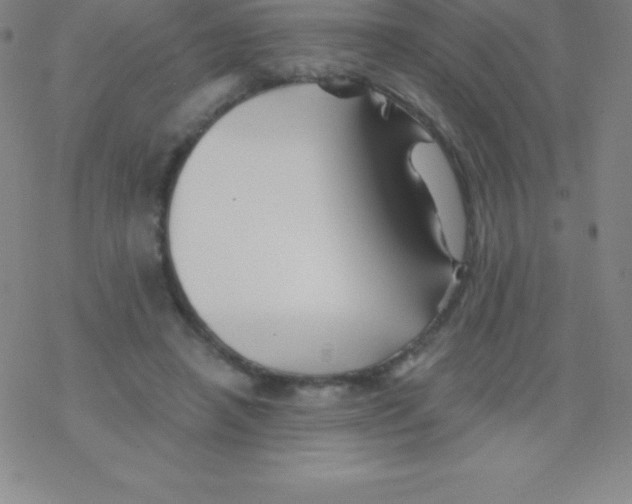 X0000076310450200610271943