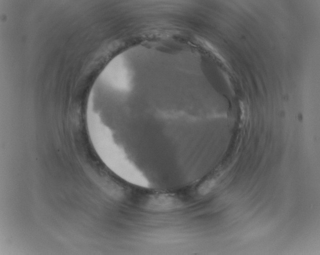 X0000076310451200610271943