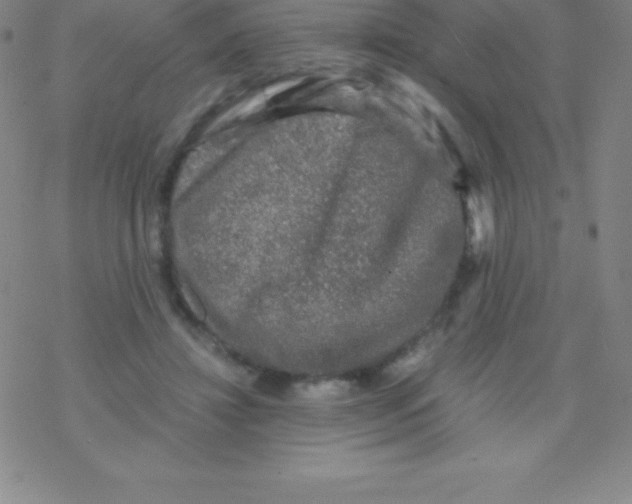 X0000076310452200610271943