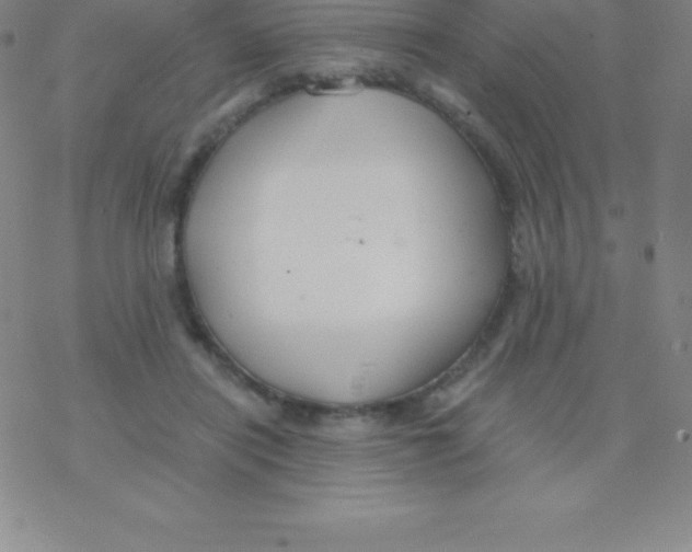 X0000076310454200610271943