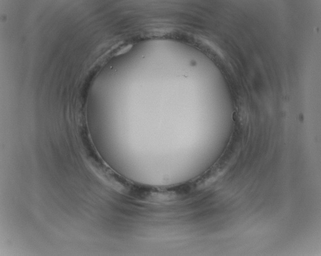 X0000076310455200610271943