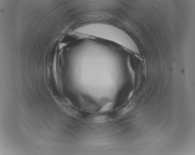 X0000076310456200610271943