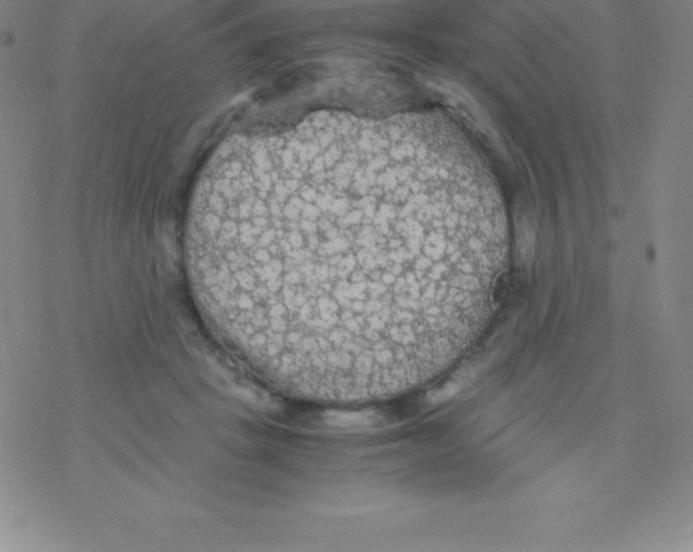 X0000076310457200610271943