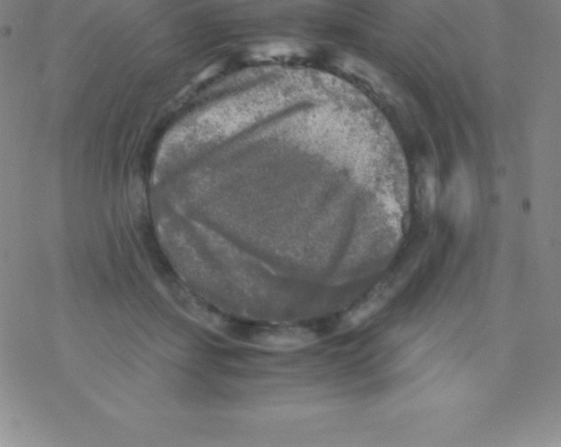 X0000076310459200610271943