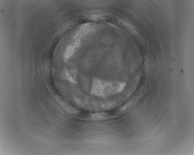 X0000076310461200610271943