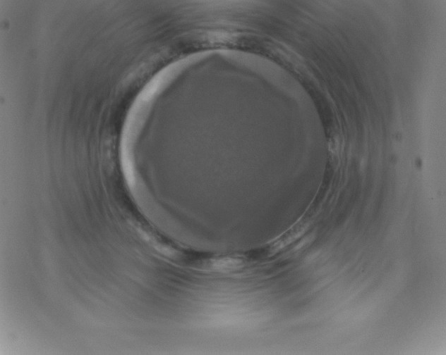 X0000076310462200610271943