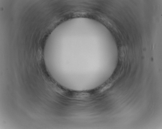 X0000076310463200610271943