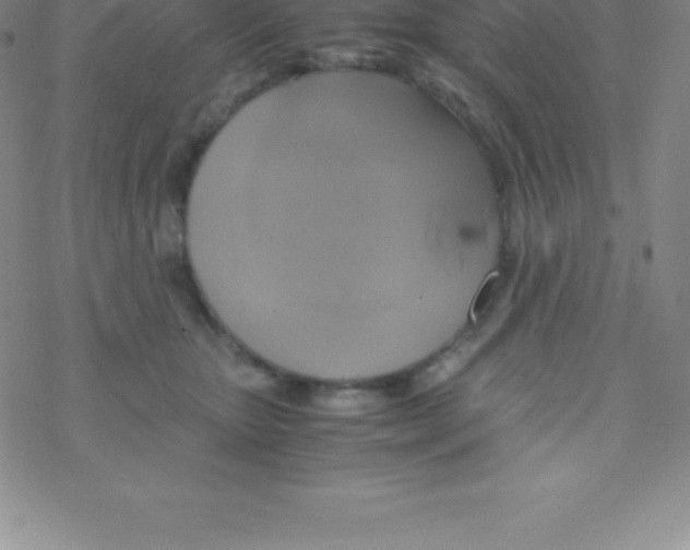 X0000076310467200610271943