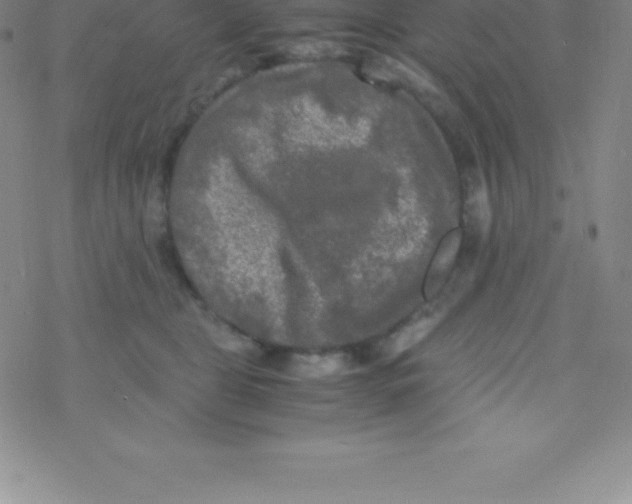 X0000076310469200610271944