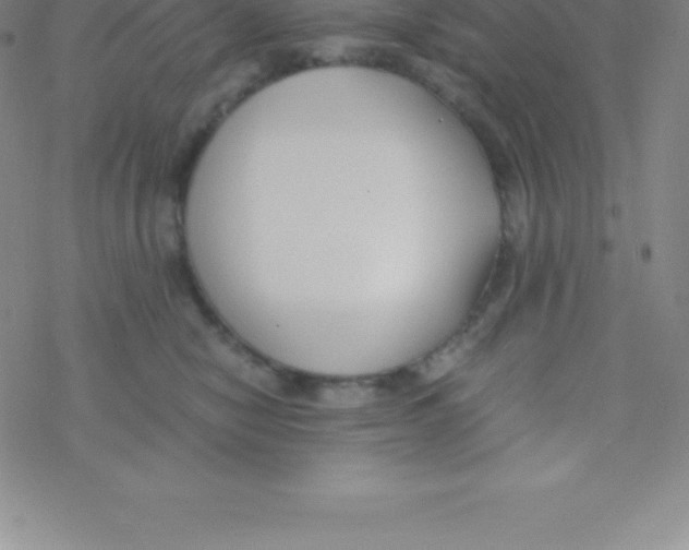 X0000076310470200610271944