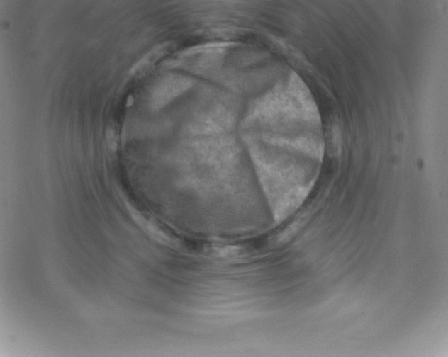 X0000076310472200610271944