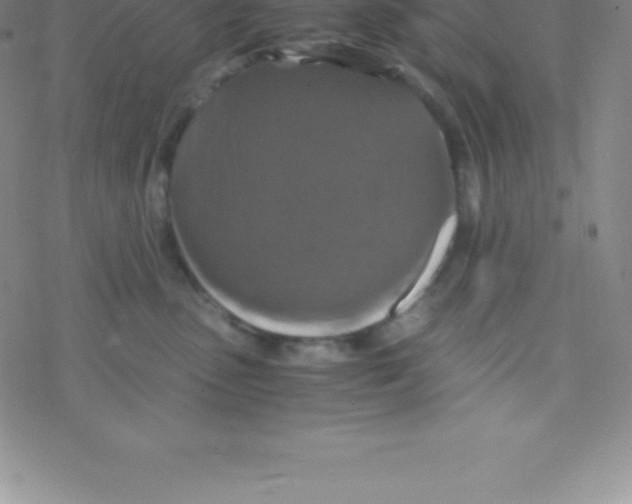 X0000076310475200610271944