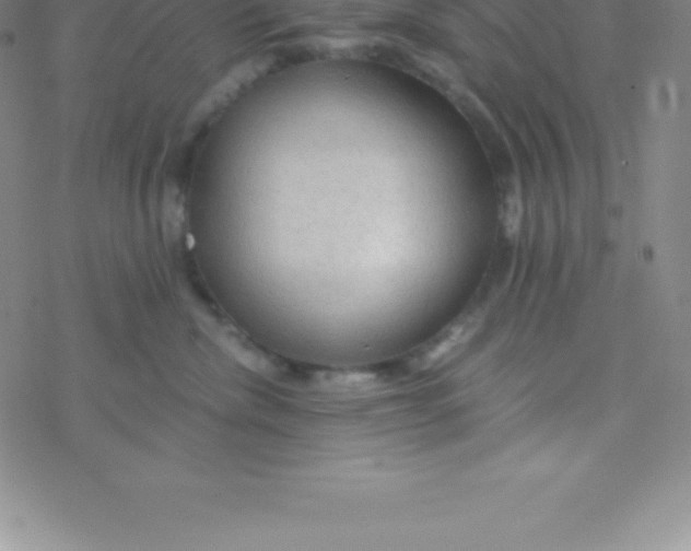 X0000076310476200610271944