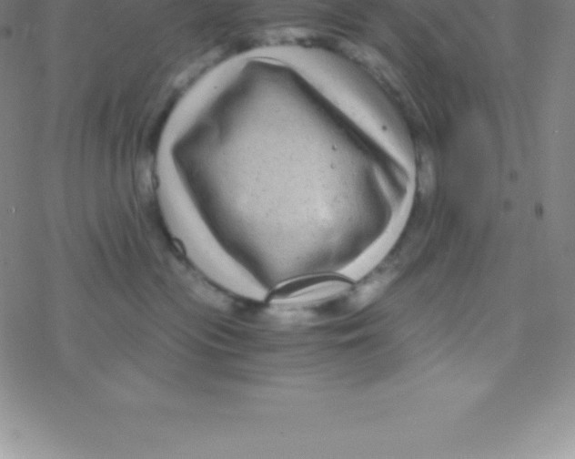 X0000076310477200610271944