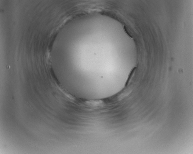 X0000076310480200610271944