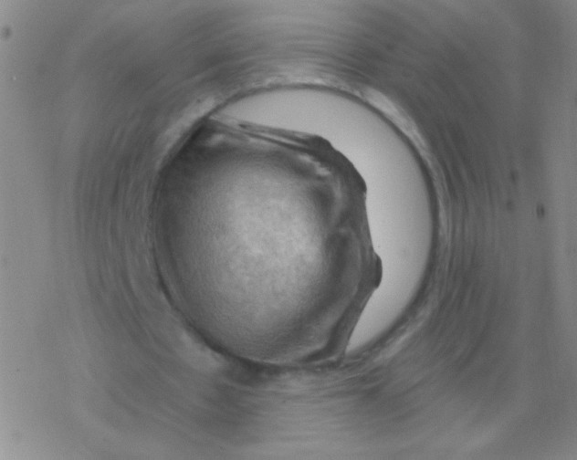 X0000076310481200610271943