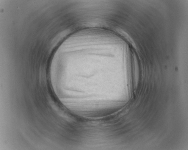 X0000076310482200610271943