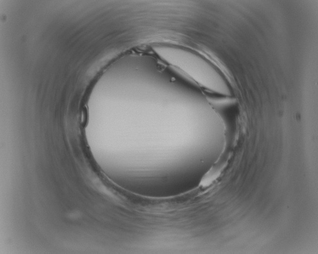 X0000076310485200610271943