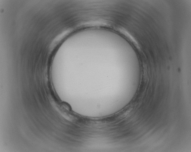 X0000076310486200610271943