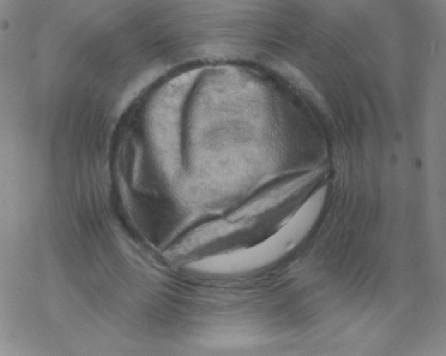 X0000076310488200610271943