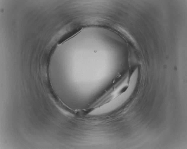 X0000076310489200610271943