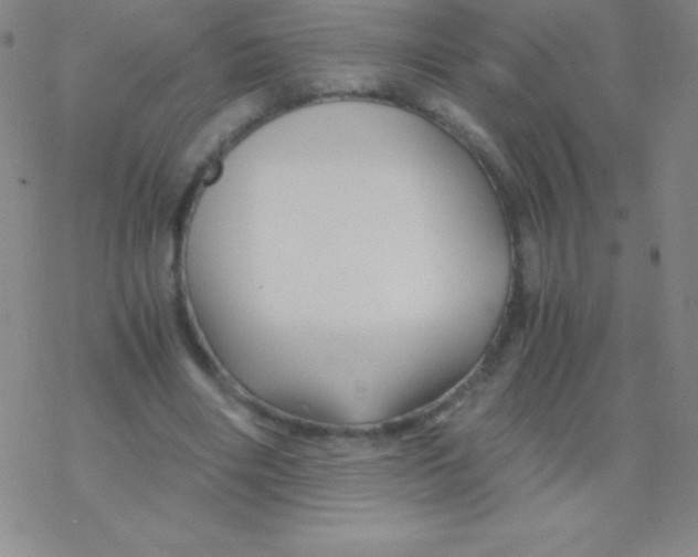 X0000076310490200610271943