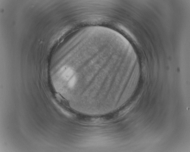 X0000076310493200610271943