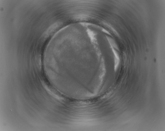 X0000076310494200610271943