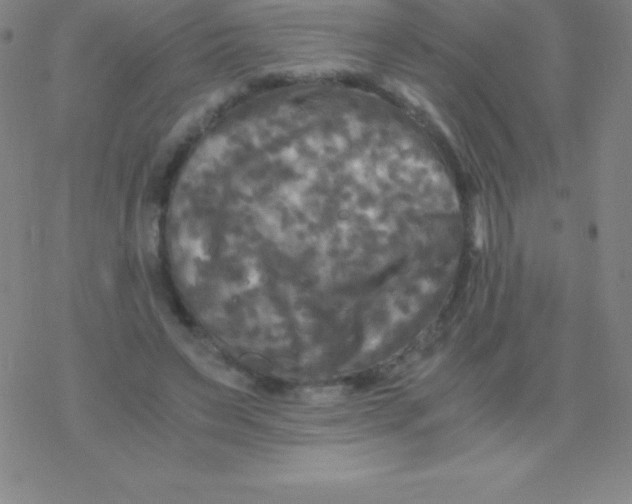 X0000076310495200610271943