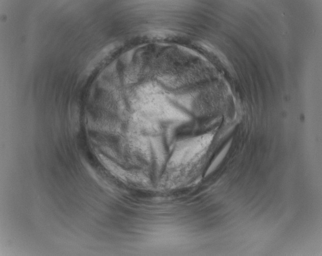 X0000076310496200610271943