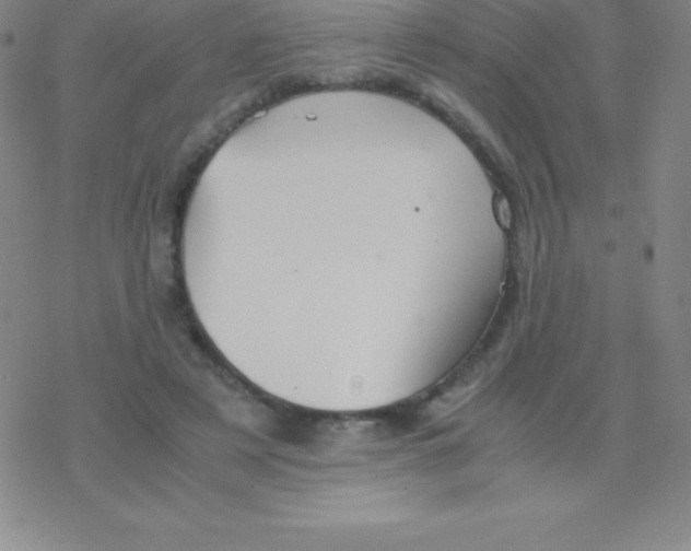 X0000076310497200610271943