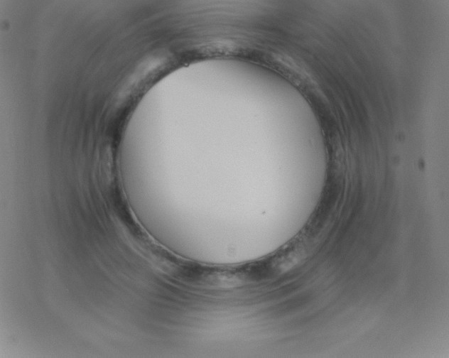 X0000076310498200610271943