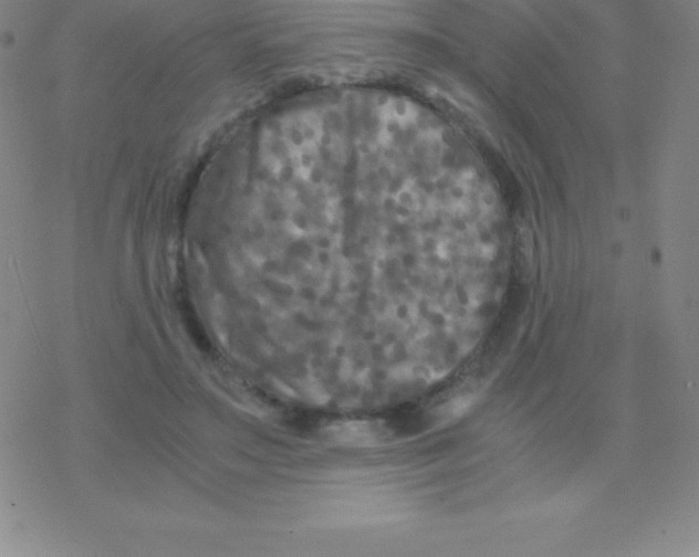 X0000076310499200610271943