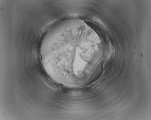 X0000076310500200610271943