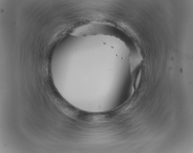 X0000076310501200610271943