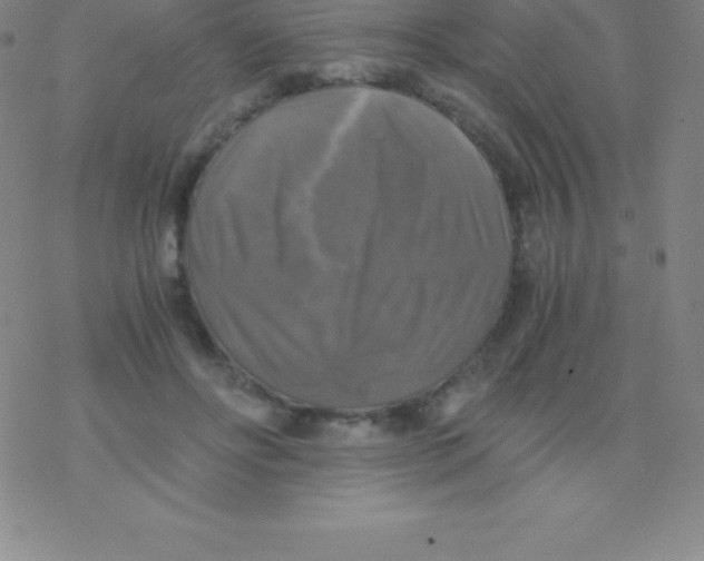 X0000076310502200610271943