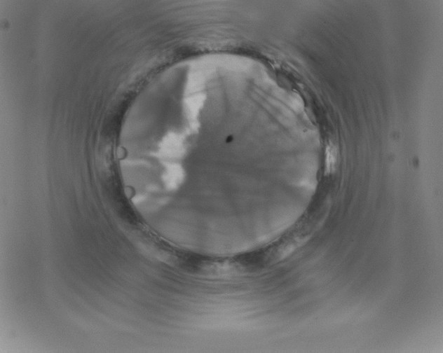 X0000076310503200610271943