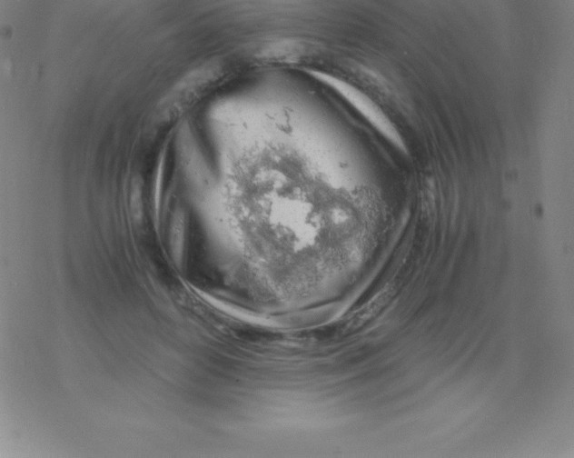 X0000076310504200610271943