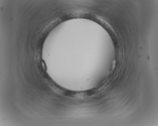 X0000076310505200610271943