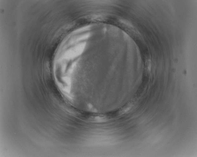 X0000076310506200610271943