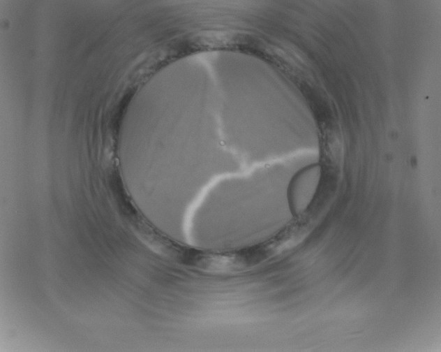 X0000076310507200610271942