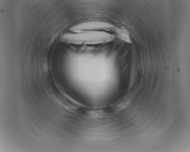 X0000076310508200610271942