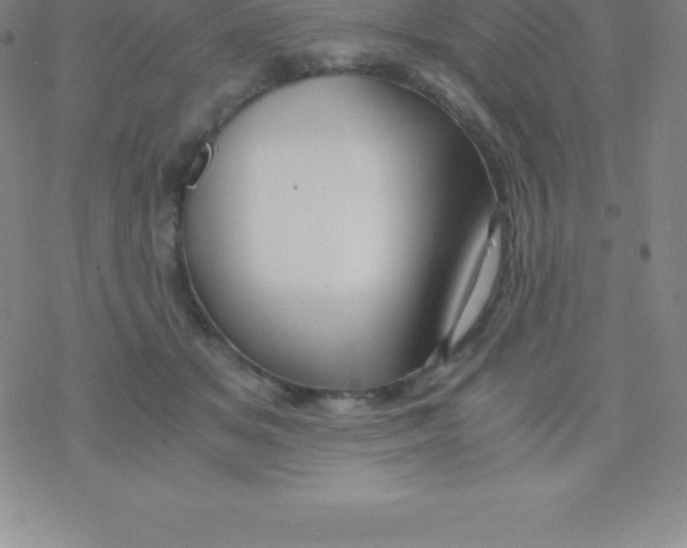 X0000076310509200610271942