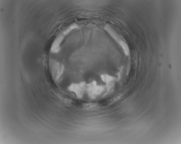 X0000076310511200610271942