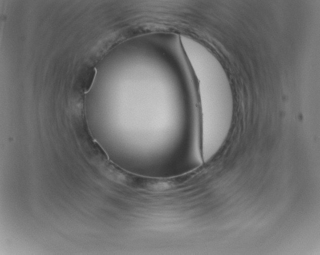 X0000076310513200610271942