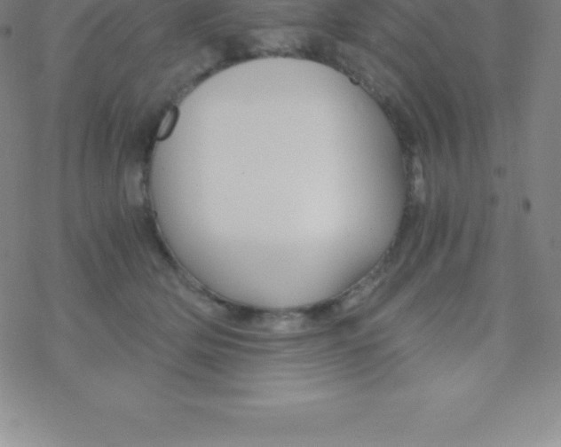 X0000076310514200610271942