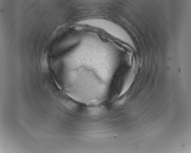 X0000076310516200610271942