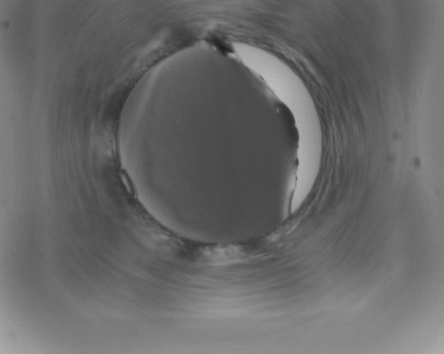 X0000076310517200610271942